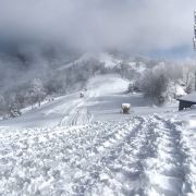 PG电子游戏- PG电子平台- PG电子官方网站教育应善于“就地取材”