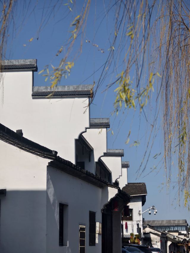 西小路历史街区旅行图片 4