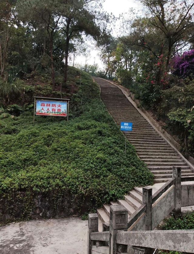 五象岭森林公园旅行图片 8