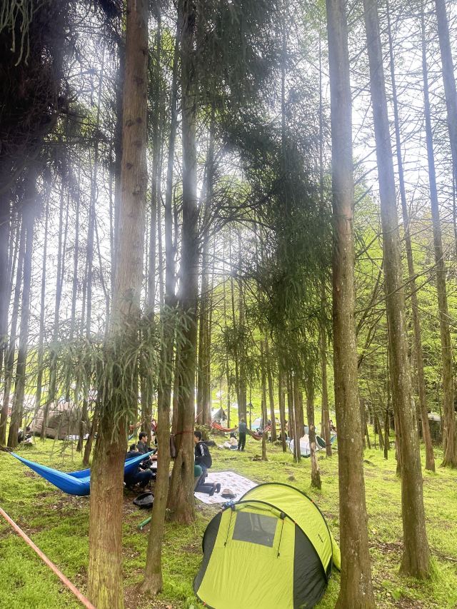 武陵山国家森林公园旅行图片 4