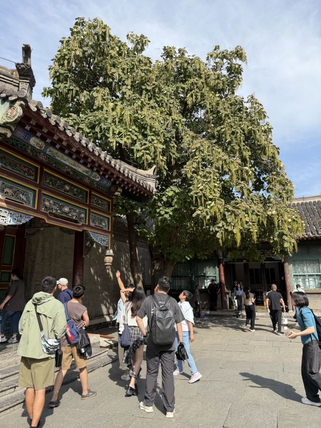 中山路历史文化街区旅行图片 4