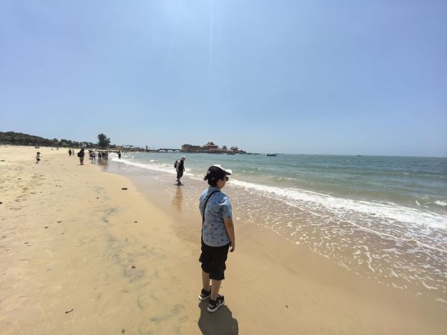 洛伽寺旅行图片 5