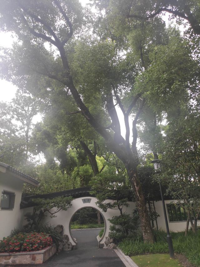 东安公园旅行图片 1