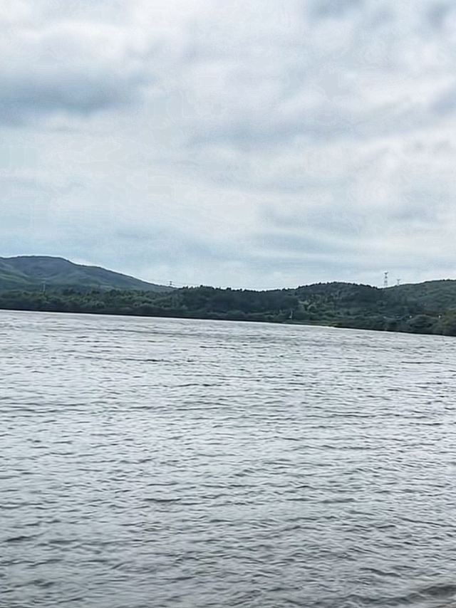 蟠龙湖森林公园旅行图片 2