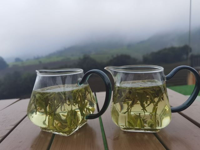 白茶原·安吉白茶观景平台旅行图片 4