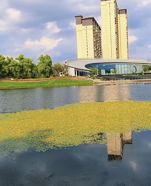云湖公园旅行图片 1