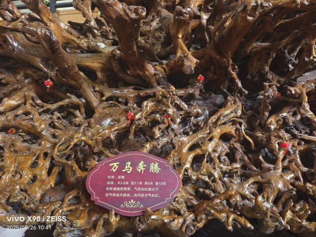 杜鹃王古木文化博览园旅行图片 1
