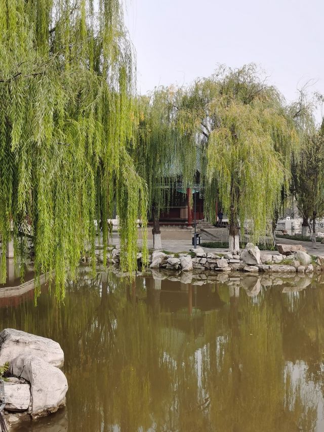 丛台公园旅行图片 9