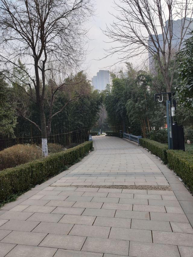航天城中湖公园旅行图片 3