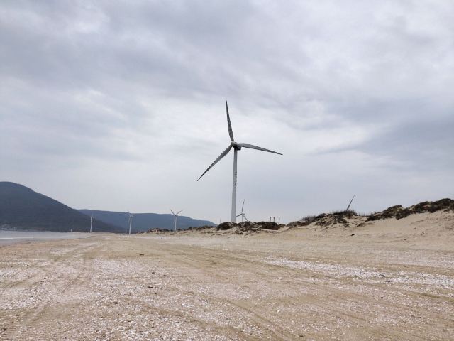 蓝眼泪观景点(长江澳海滩)旅行图片 4