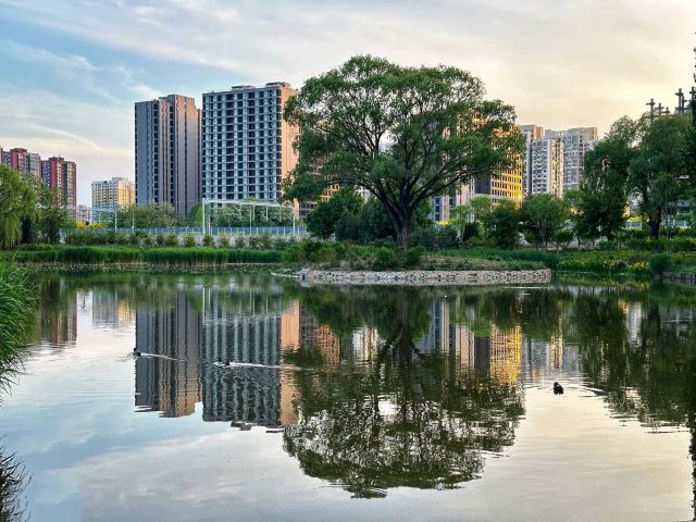 将府公园旅行图片 6