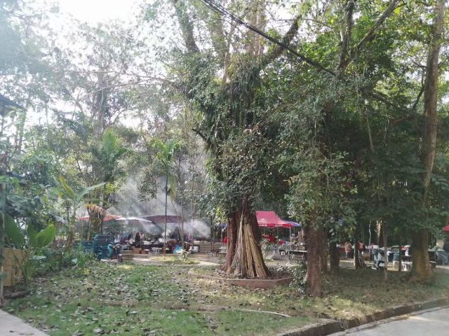 曼远村旅行图片 9
