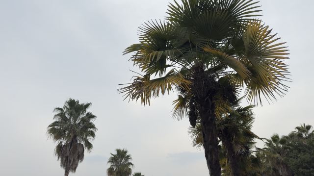 蜜泉湖旅游度假区旅行图片 3