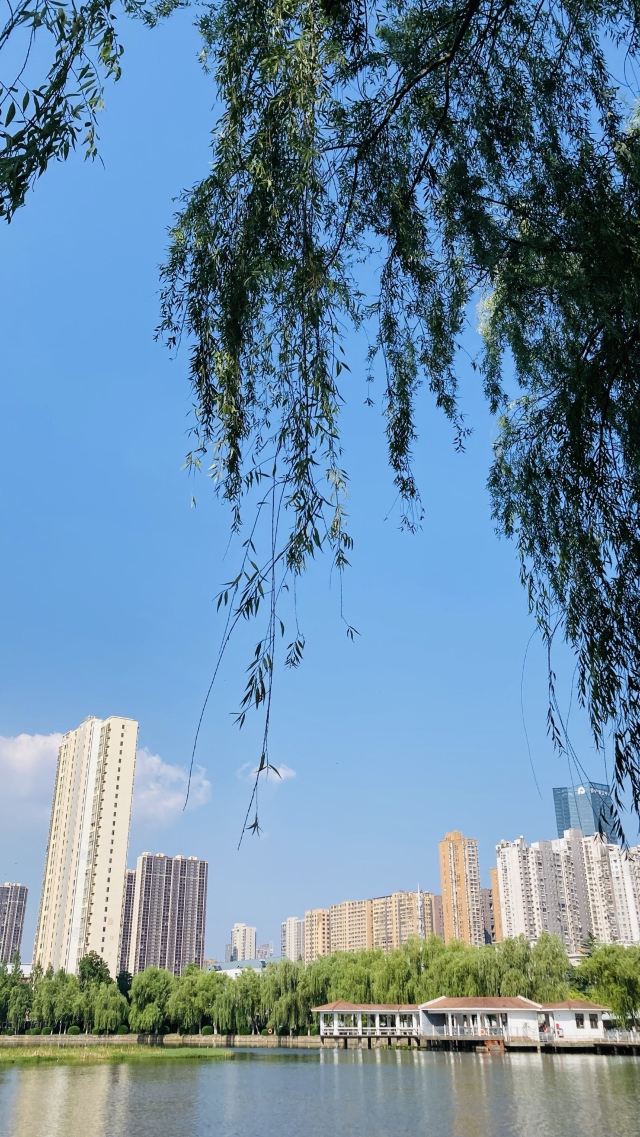 四美塘文化公园旅行图片 1
