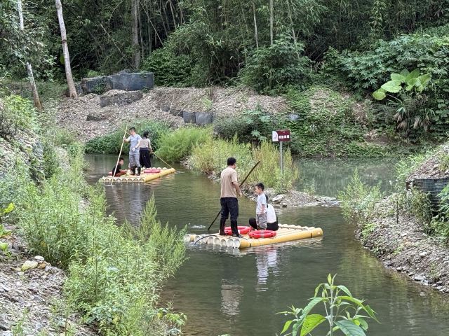 基诺山幽河谷雨林旅行图片 9