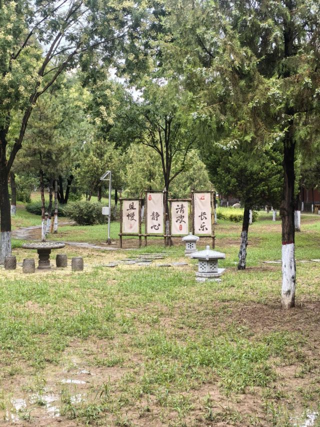 大佛寺旅行图片 1
