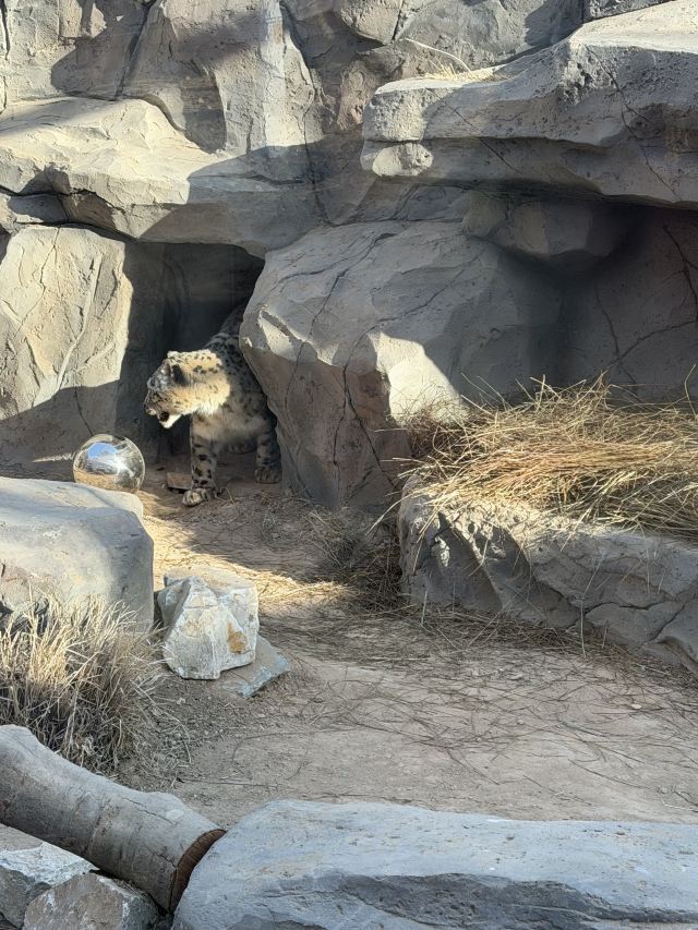 西宁野生动物园旅行图片 2