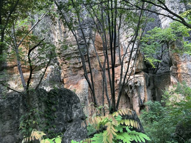 乃古石林风景区旅行图片 2