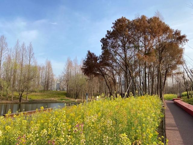 滨江大道旅行图片 3