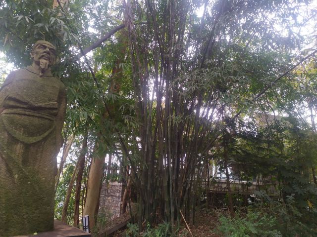 武当山旅行图片 3
