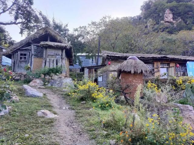 核伙沟森林公园旅行图片 2
