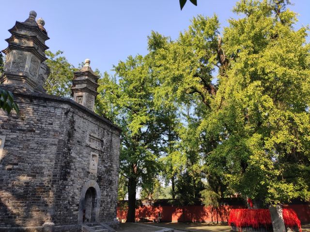勑赐广德寺旅行图片 3