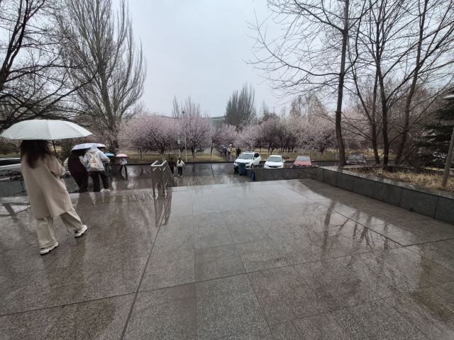 青海大学-党员活动公园旅行图片 2