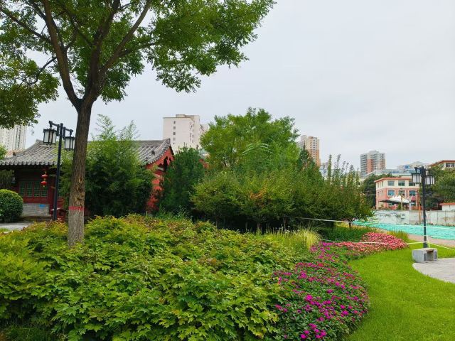 狄仁杰文化公园旅行图片 4