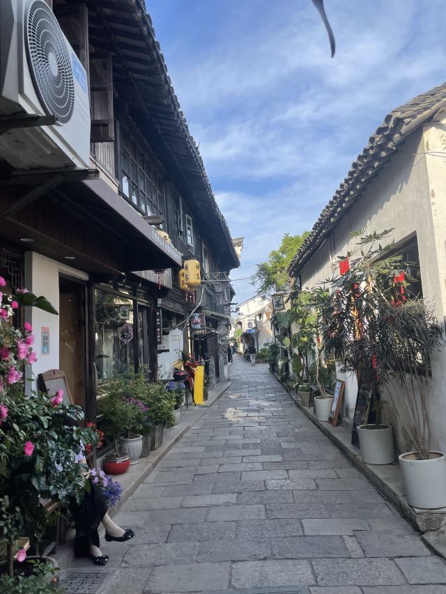 新场古镇旅行图片 1
