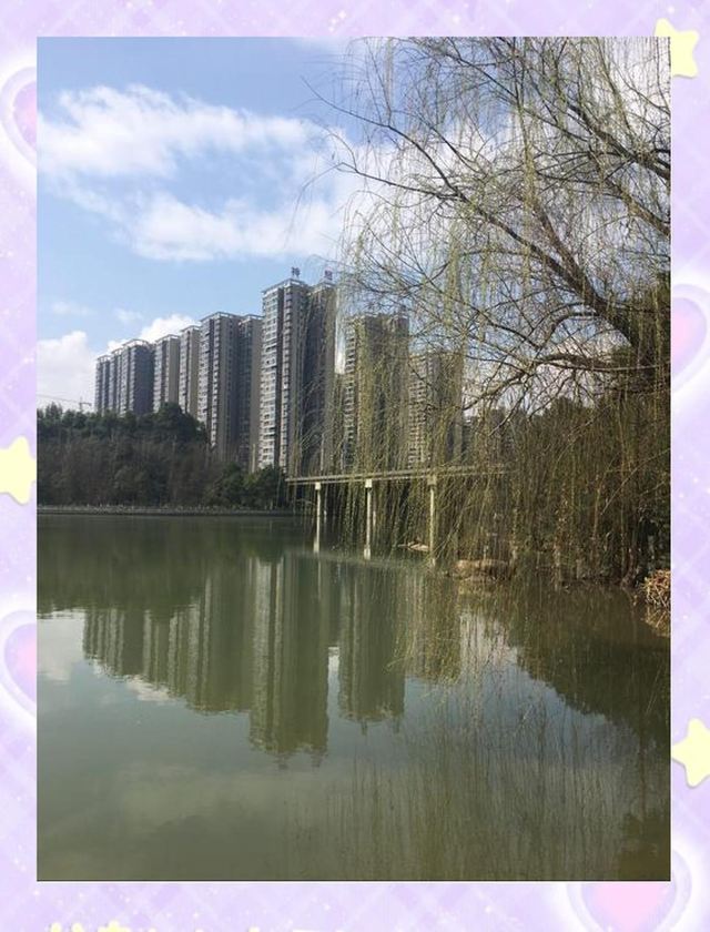 王仙湖旅行图片 2