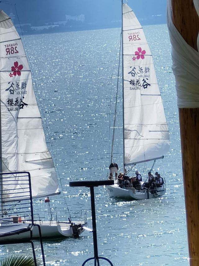 抚仙湖国际度假小镇湖畔森林公园旅行图片 4