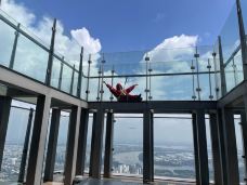 地标塔81大楼观景台-胡志明市-nicjunjun