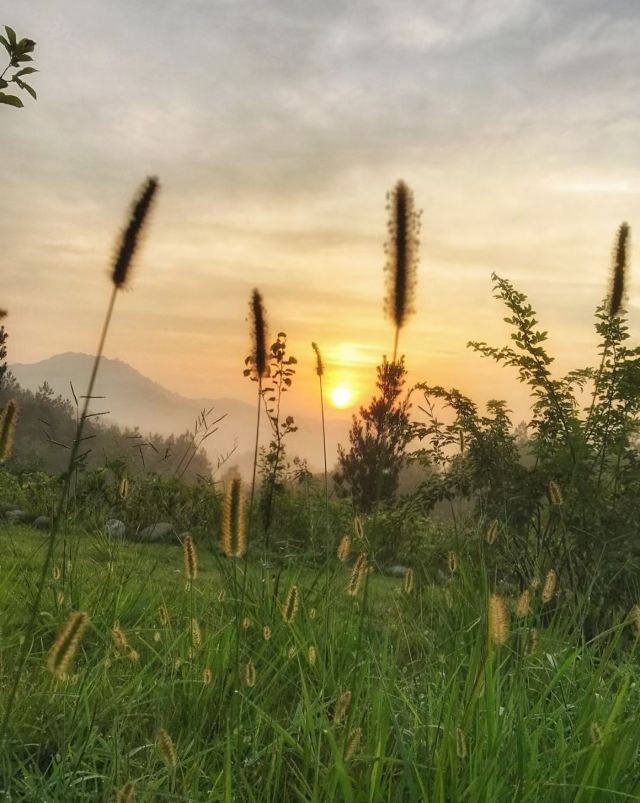 丰台花园旅行图片 1