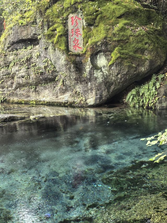 南京珍珠泉风景区游玩攻略简介,南京珍珠泉风景区门票/地址/图片/开放时间/照片/门票价格【携程攻略】