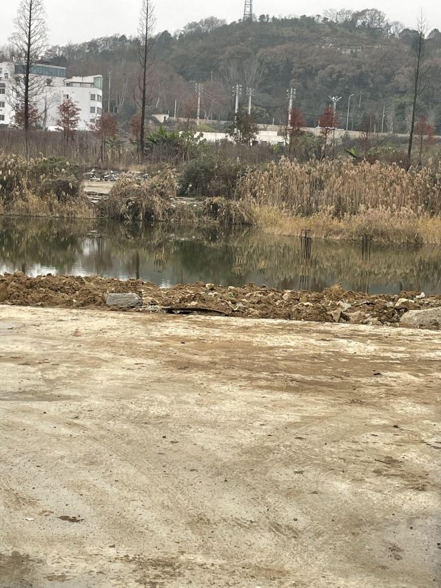 花溪湖旅行图片 2