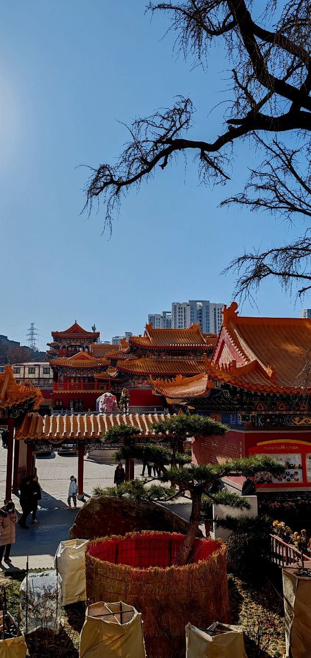 青岛观音寺旅行图片 13