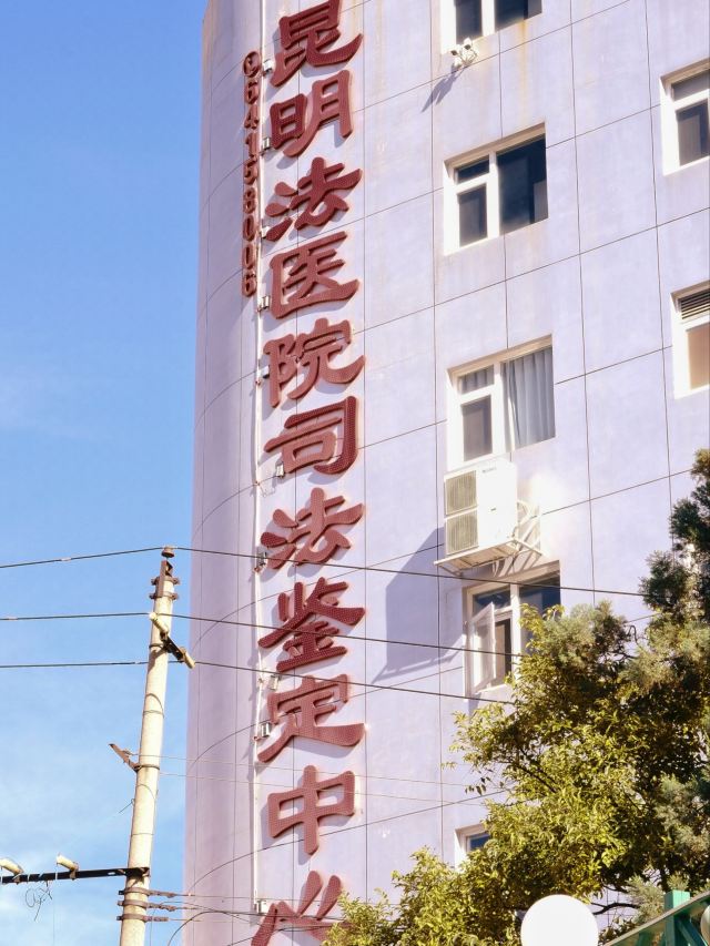 麻园米轨公园旅行图片 5