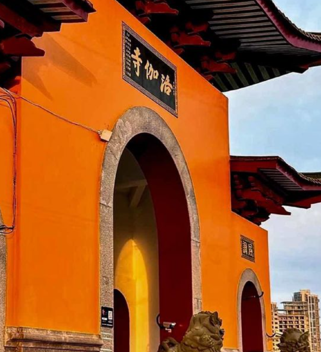 洛伽寺旅行图片 1