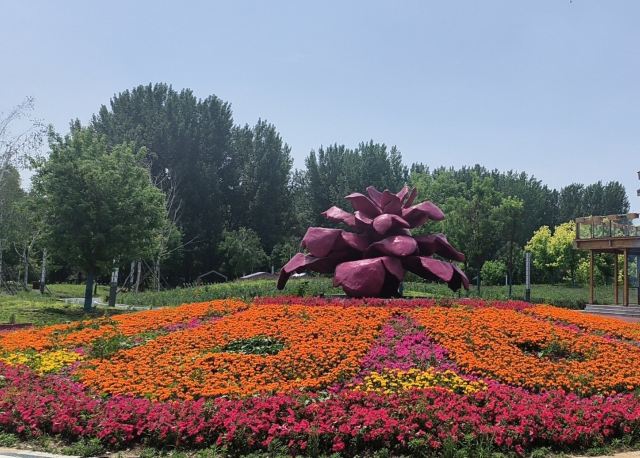 花间道运动公园旅行图片 3