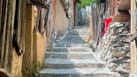 同樂傈僳族山寨