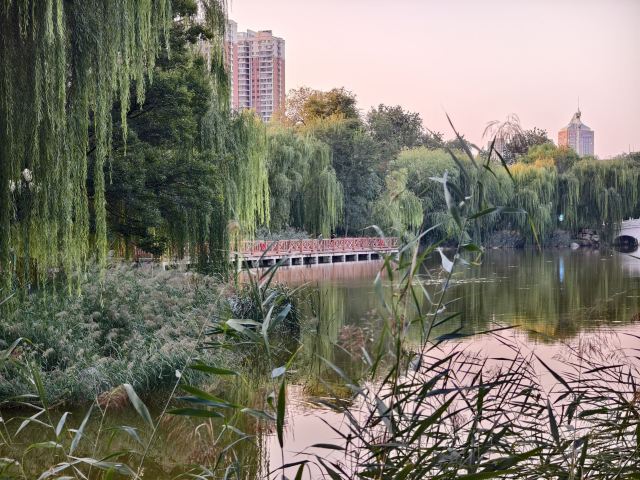 长安公园旅行图片 6