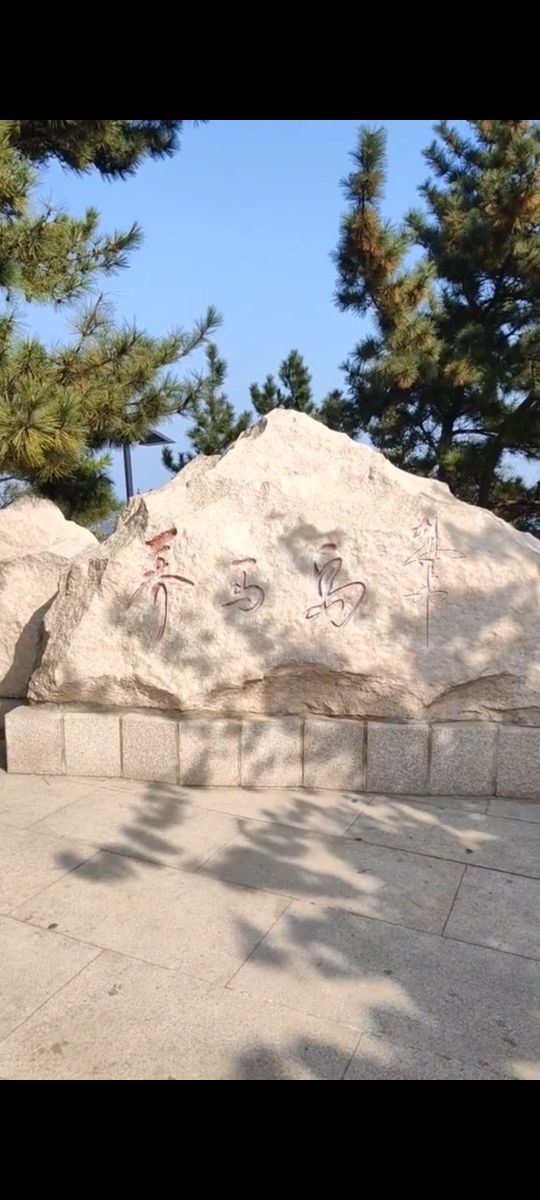 养马岛林间花海旅行图片 3