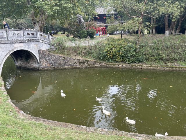 南山风景区旅行图片 4