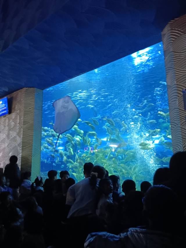 秦皇岛新澳海底世界旅行图片 1