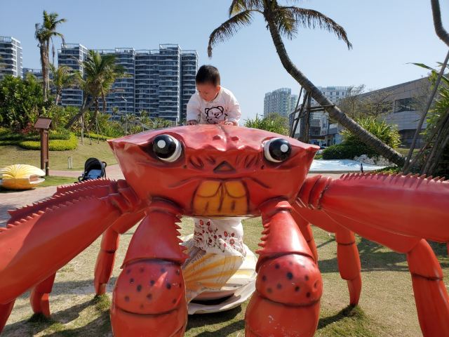 碧桂园·碧海银滩公园旅行图片 4