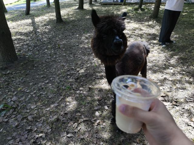 自然卷卷牧野旅行图片 4