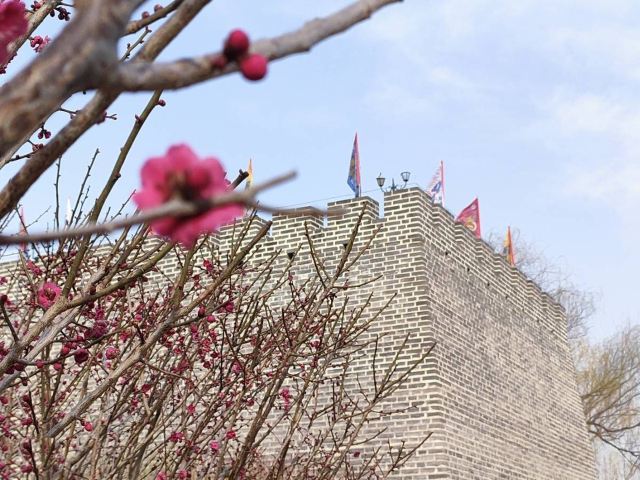 北京明城墙遗址公园旅行图片 6