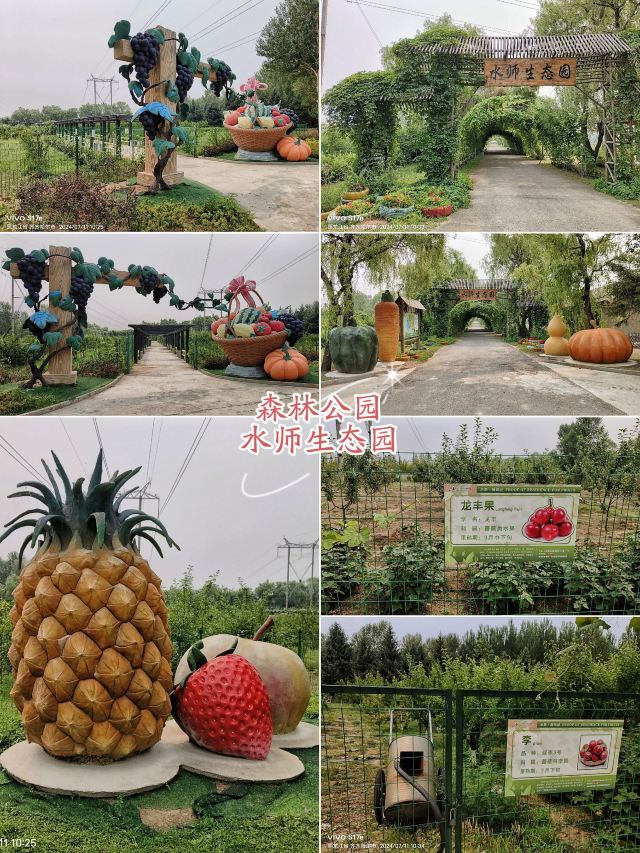 水师森林公园旅行图片 11