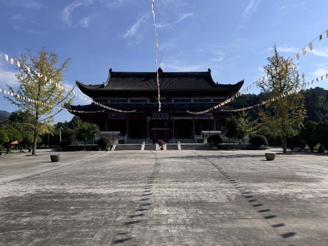大金佛寺旅行图片 2