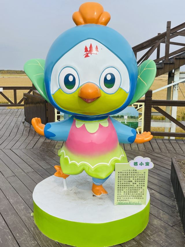 八五八农场千岛林稻田画旅行图片 5